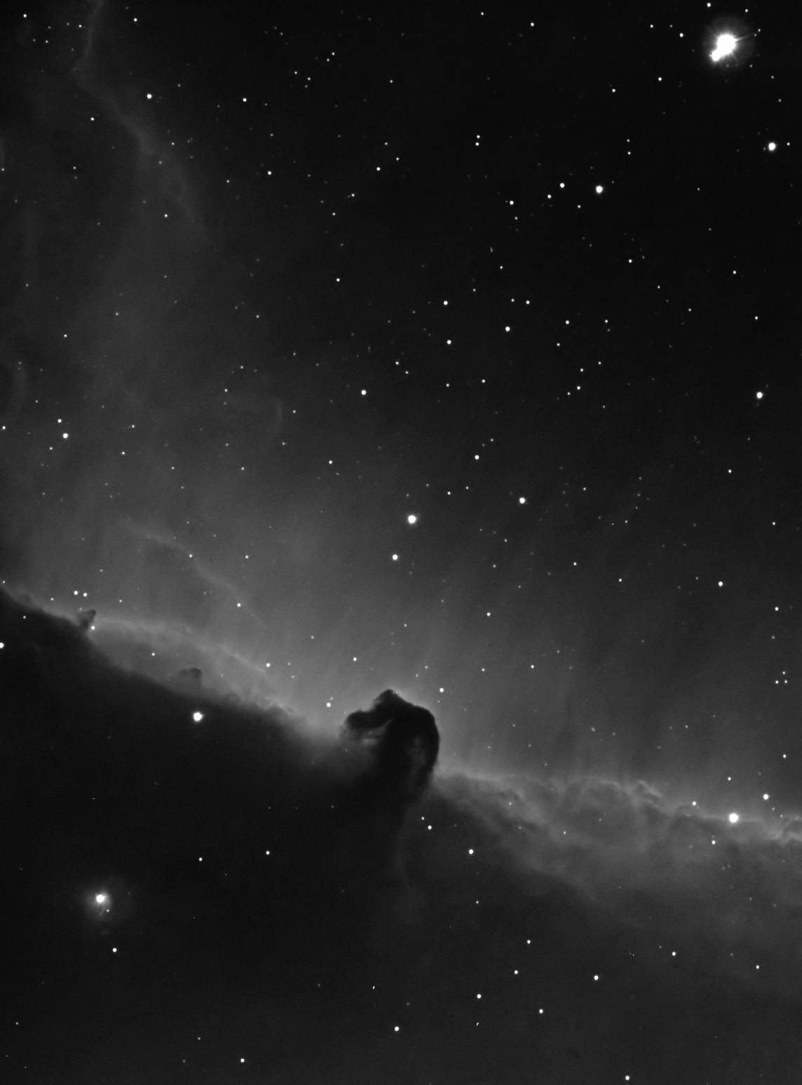 Black-and-white view of the dark Horsehead Nebula silhouetted against a bright band of glowing gas