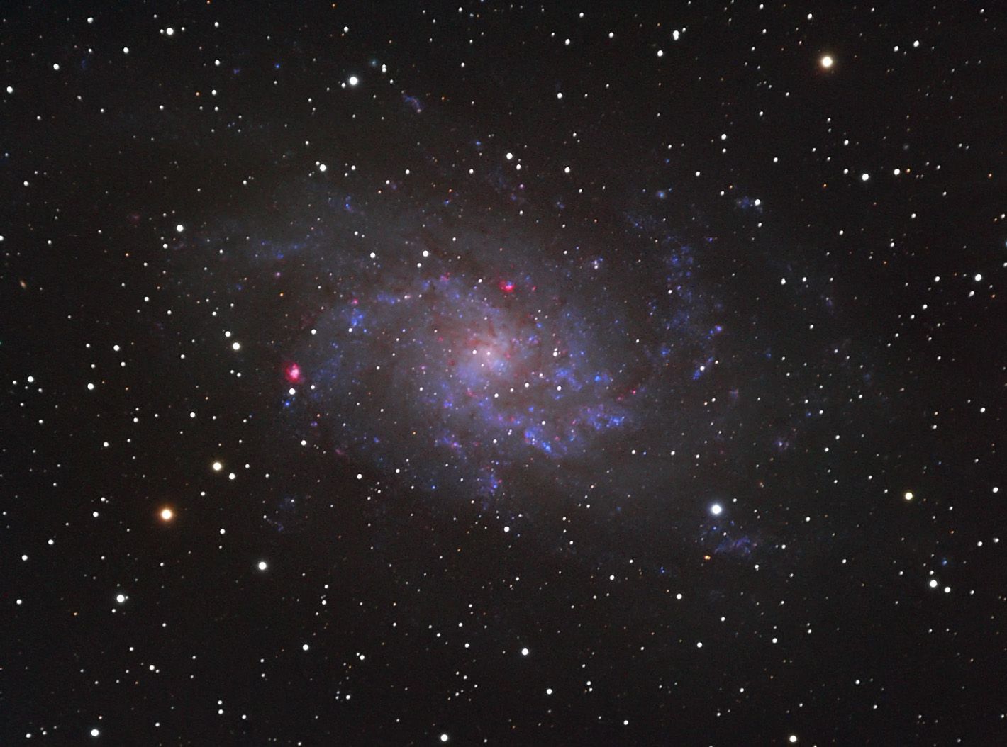 Large loose face-on spiral galaxy with blue arms and pink star-forming knots among foreground stars