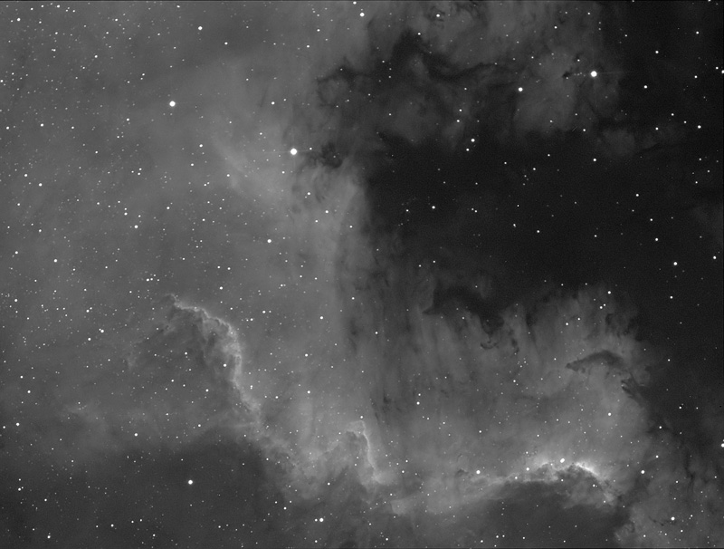 Black-and-white image of bright gas clouds edged by dark dust, shaped like a coastline