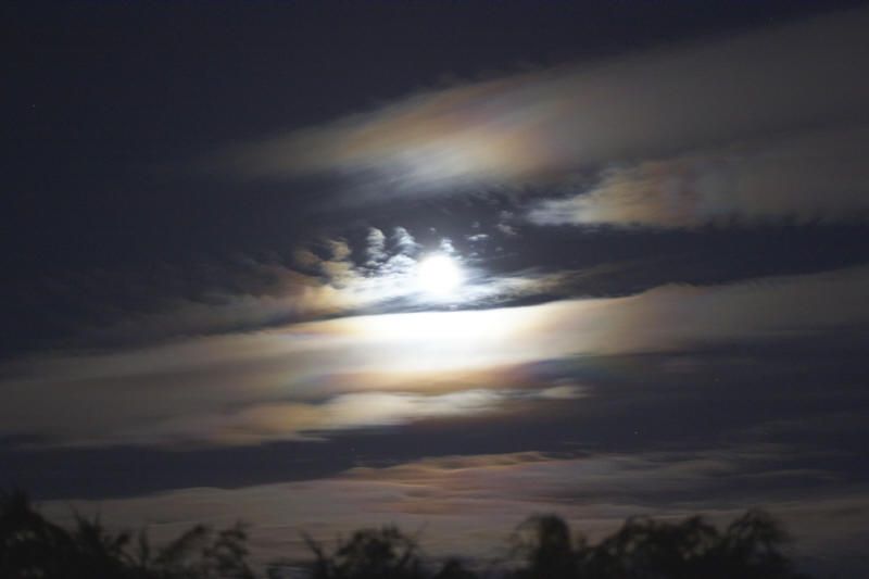 Bright Moon shining through layered clouds with coloured fringes above a line of trees