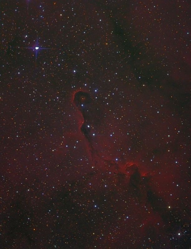 Dark trunk-shaped dust globule winding through faint red nebulosity in a vertical frame